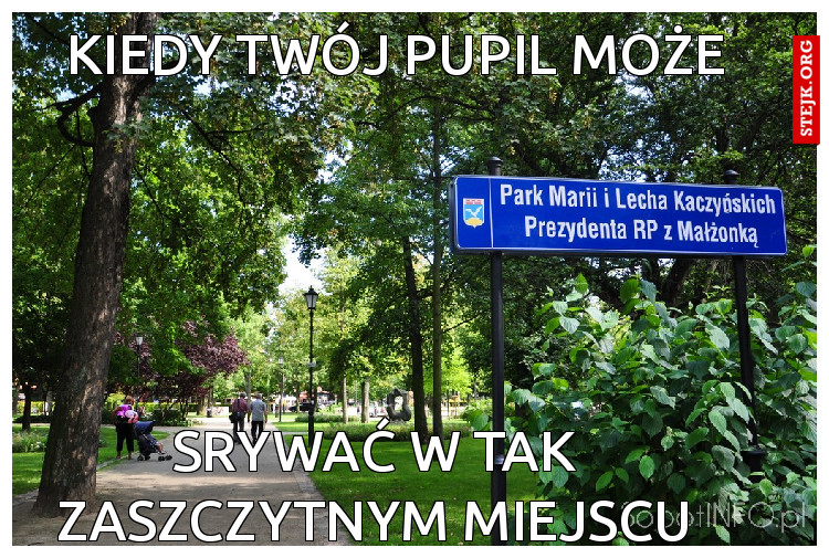 KIEDY TWÓJ PUPIL MOŻE