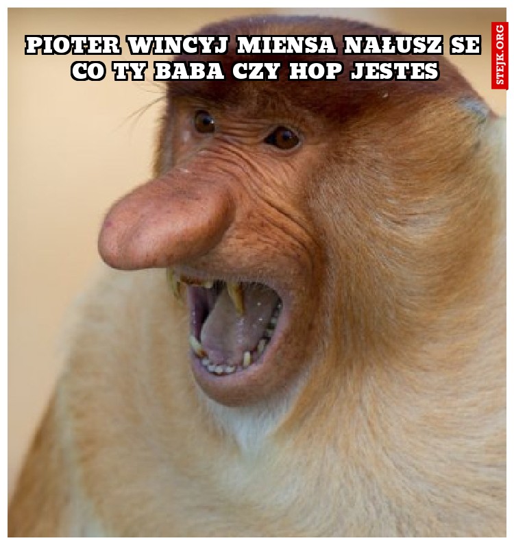pioter wincyj miensa nałusz se co ty baba czy hop jestes