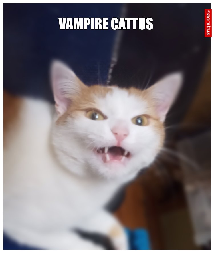 Vampire Cattus