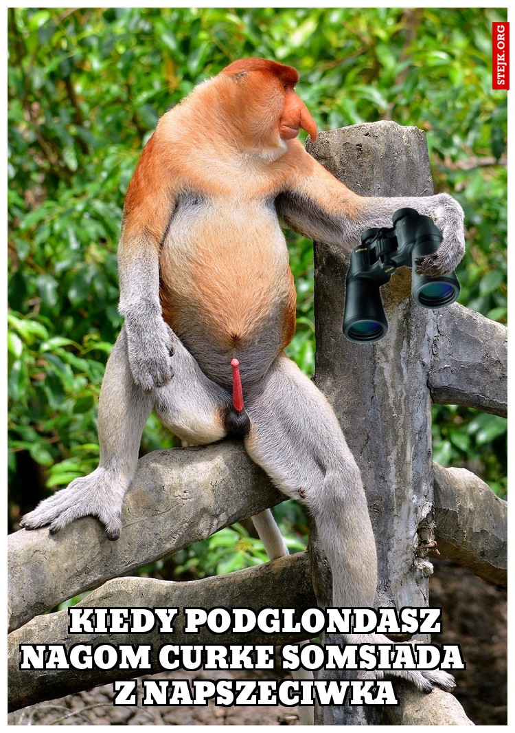 Kiedy podglondasz nagą curke somsiada z napszeciwka
