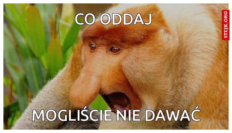 Co Oddaj 