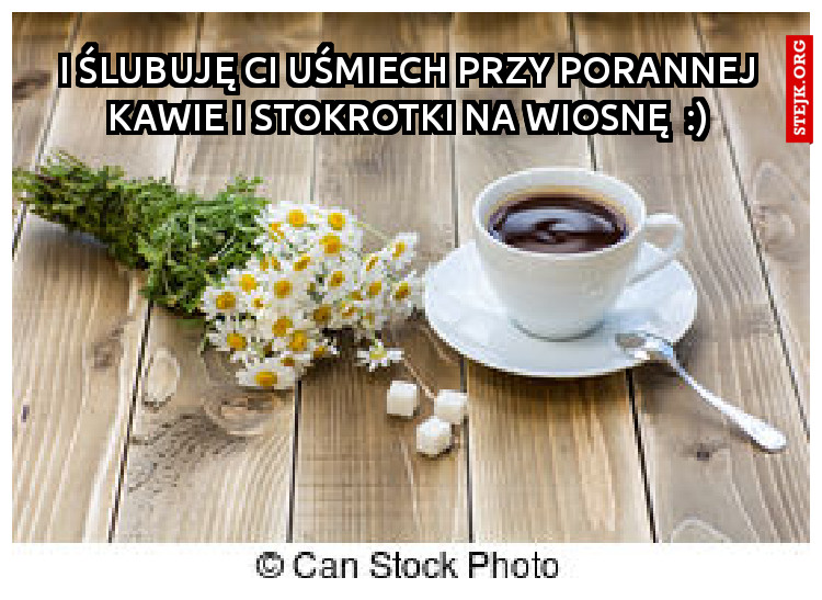 I ślubuję Ci uśmiech przy porannej kawie i stokrotki na wiosnę  :)