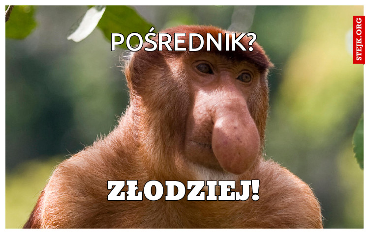 pOŚREDNIK?