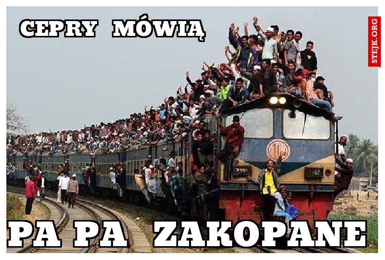 cepry  mówią