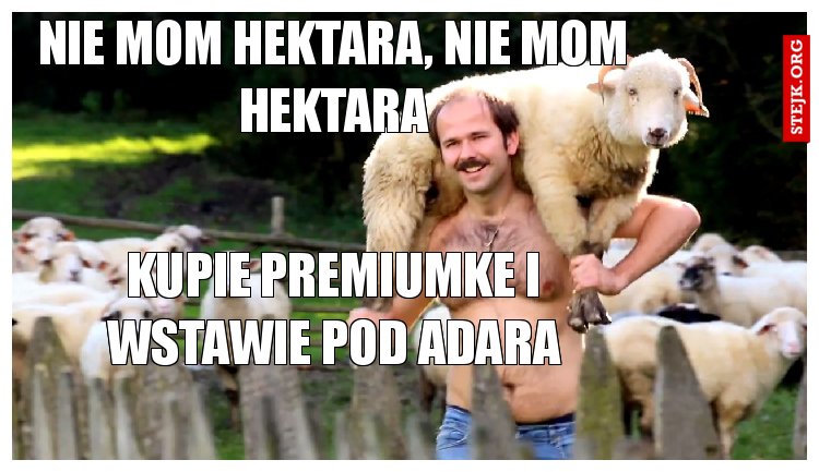 NIE MOM HEKTARA, NIE MOM HEKTARA