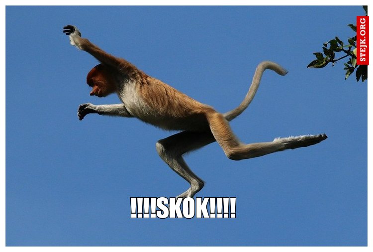 !!!!Skok!!!! 