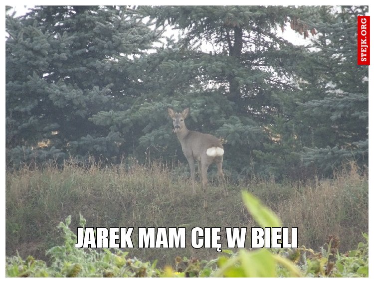Jarek mam cię w bieli