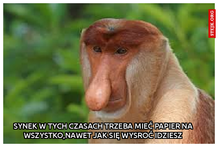 Synek w tych czasach trzeba mieć papier na wszystko,nawet jak się wysroć idziesz