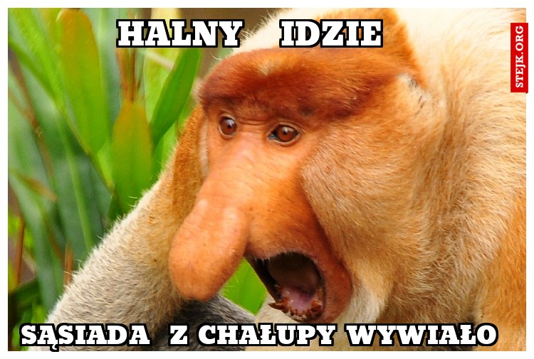 halny   idzie