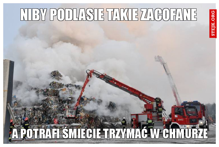 NIBY PODLASIE TAKIE ZACOFANE