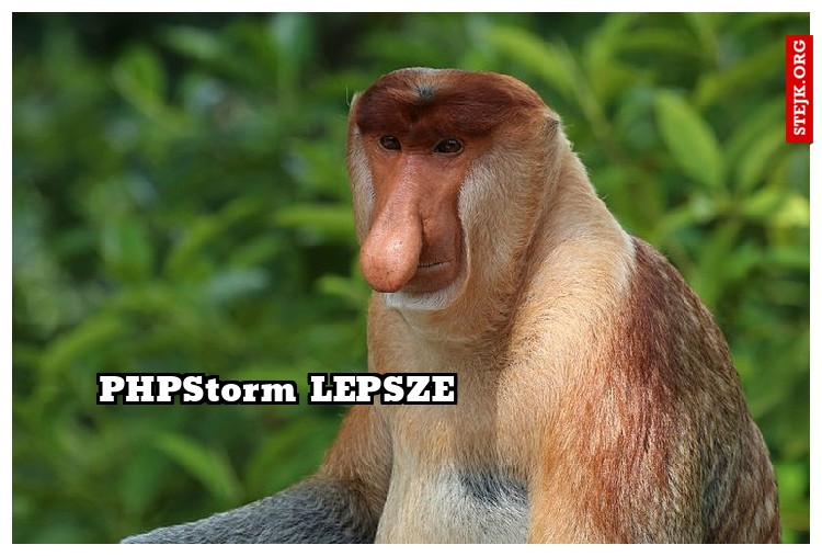 PHPStorm LEPSZE