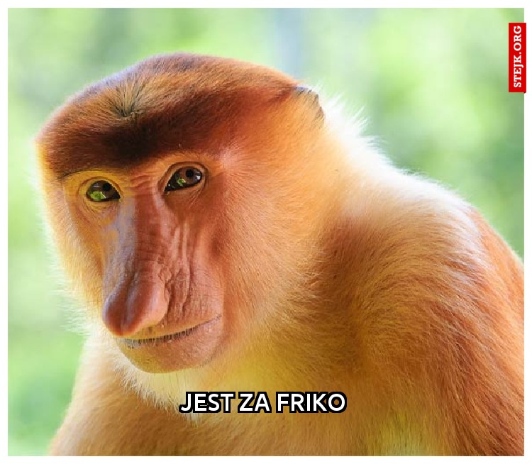 jest za friko