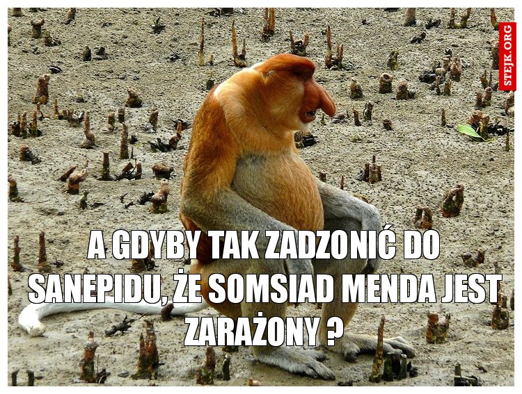 A gdyby tak zadzonić do sanepidu, że somsiad menda jest zarażony ?