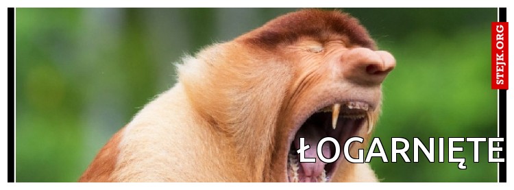                              Łogarnięte