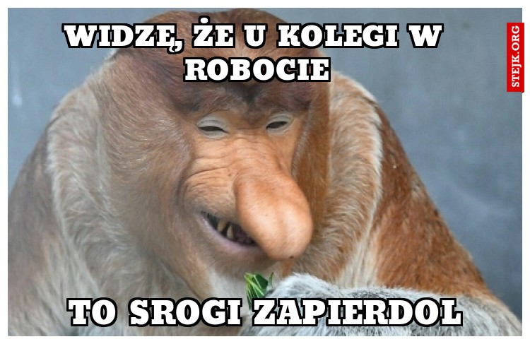 Widzę, że u kolegi w robocie