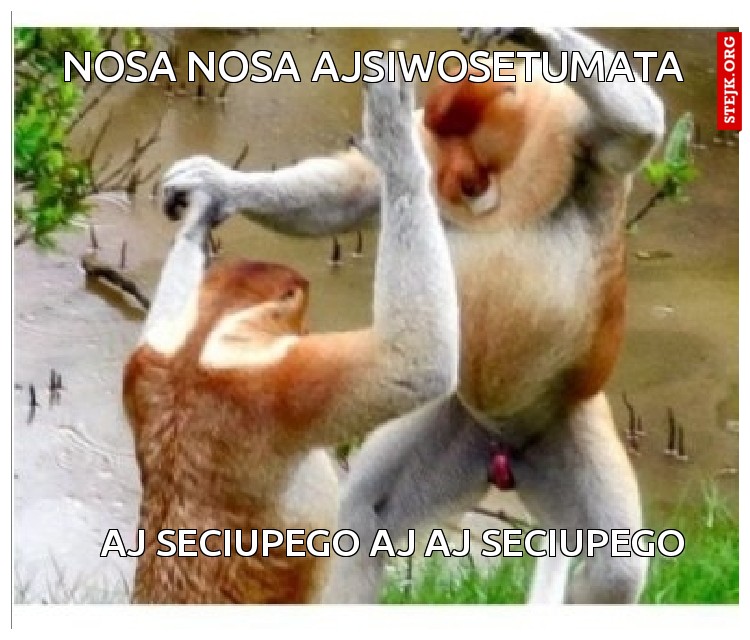 Nosa nosa ajsiwosetumata