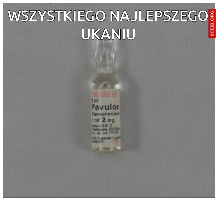 Wszystkiego Najlepszego ukaniu