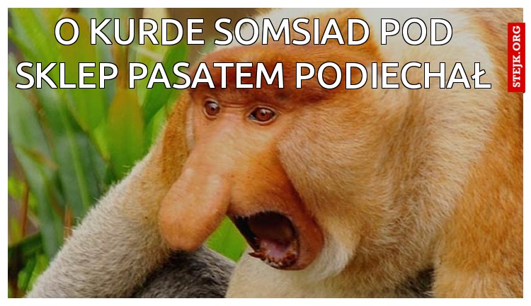O kurde somsiad pod sklep pasatem podiechał