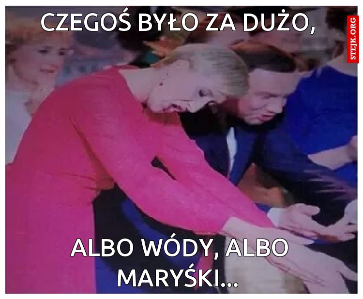 Czegoś było za dużo, 