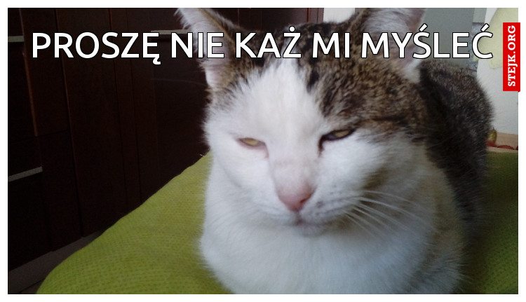 proszę nie każ mi myśleć