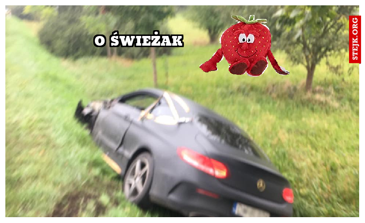 o świeżak                