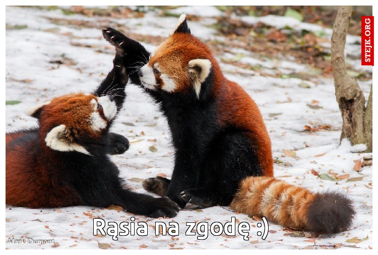 Rąsia na zgodę :)