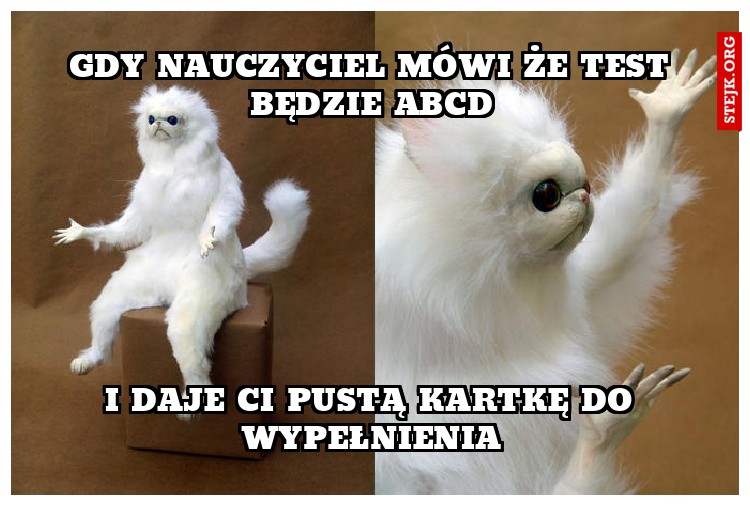 gdy nauczyciel mówi że test będzie abcd