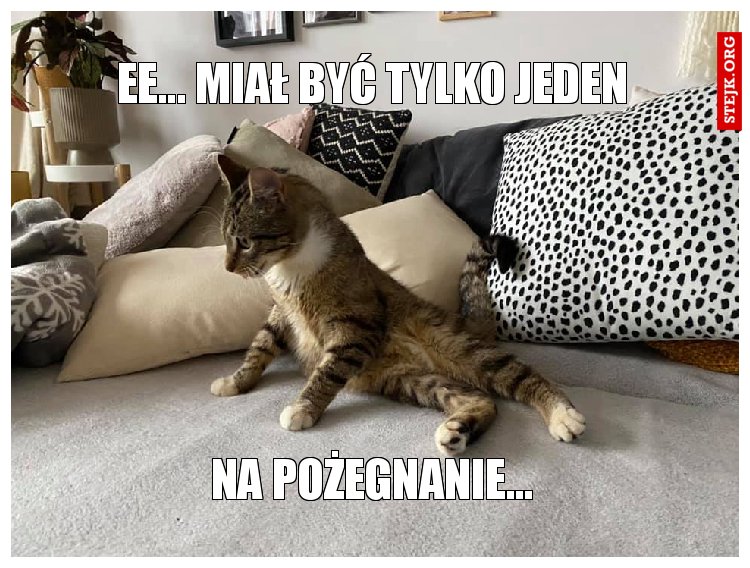 ee... miał być tylko jeden