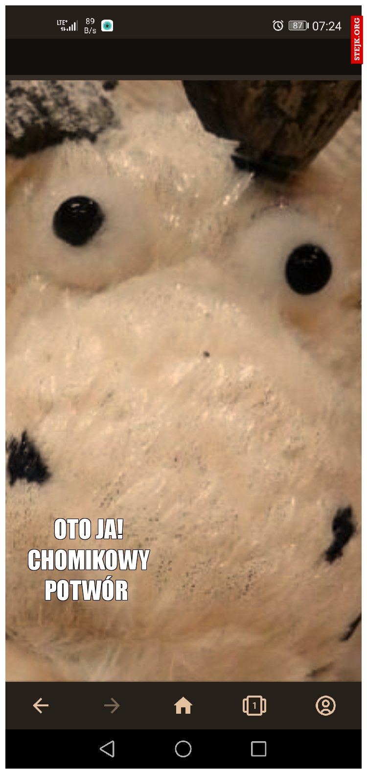 Oto ja! Chomikowy potwór 