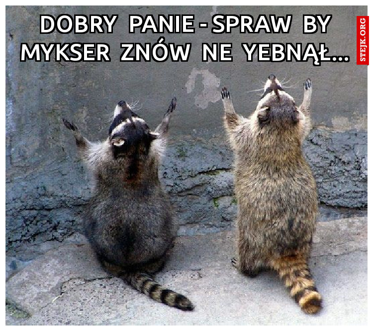 mykser yebnął...