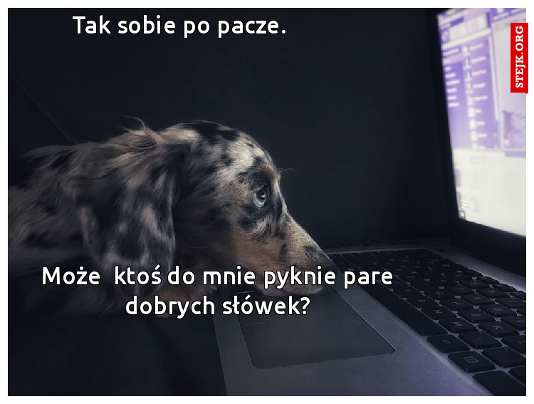 Tak sobie po pacze.