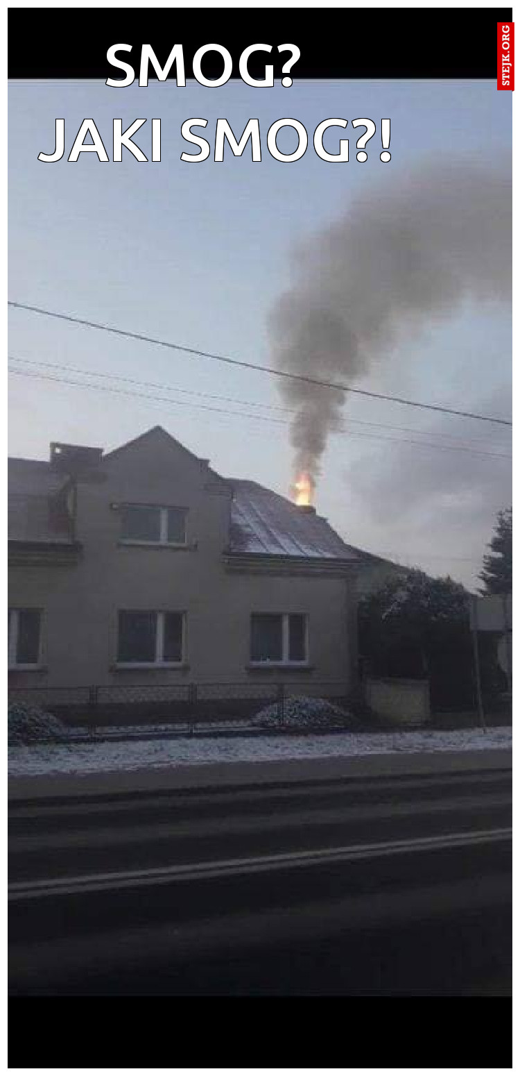    smog?           jaki smog?!     