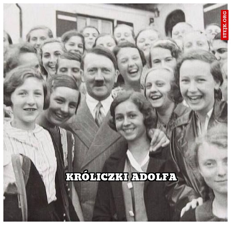 króliczki adolfa