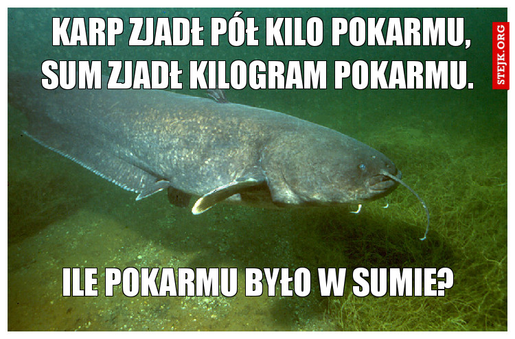 Karp zjadł pół kilo pokarmu, sum zjadł kilogram pokarmu. 