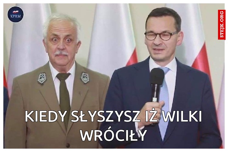 Kiedy słyszysz, iż będziesz walczył z wilkami