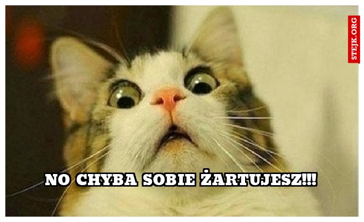 no chyba sobie żartujesz!!!
