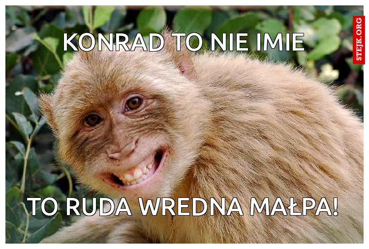 Konrad to nie imiE