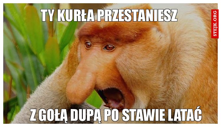 Ty kurła przestaniesz 