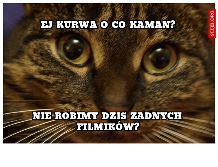 ile razy mam kur...a mówić byś przestał truć dupsko i łaził za mną