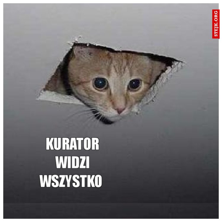 Kurator widzi wszystko 