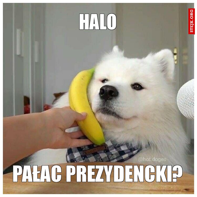 Halo