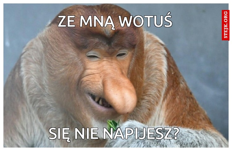 ZE MNĄ WOTUŚ