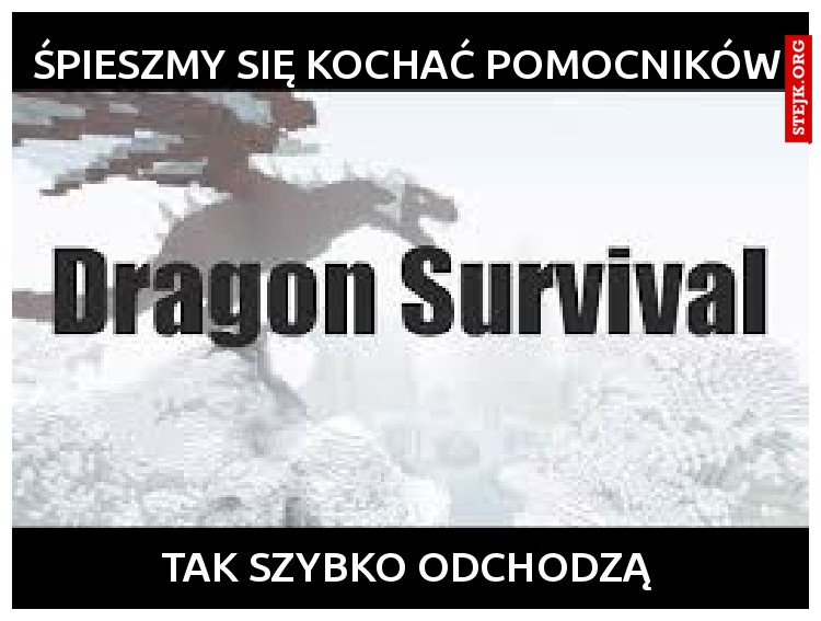 Śpieszmy się kochać Pomocników