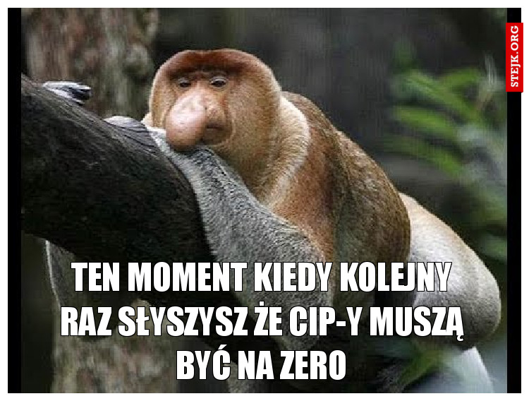 Ten moment Kiedy kolejny raz słyszysz że cip-y muszą być na zero