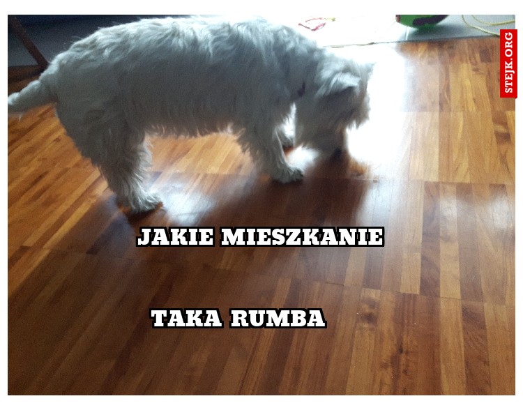 Jakie mieszkanie Taka Rumba