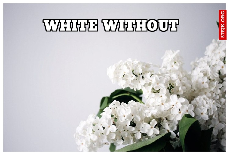 White without 