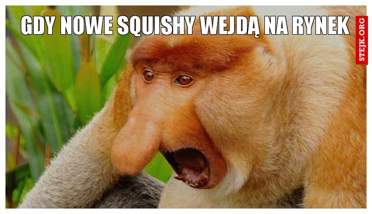 gdy nowe squishy wejdą na rynek