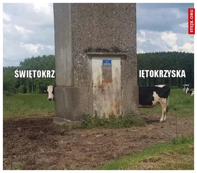 Świętokrz