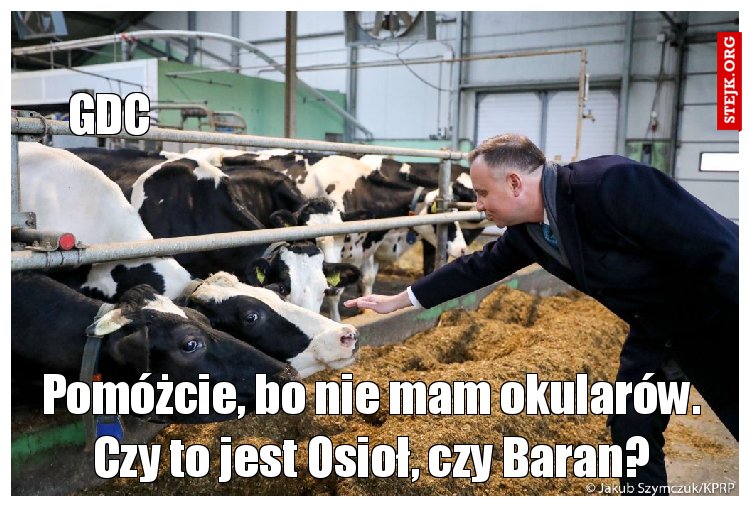 Pomóżcie, bo nie mam okularów. Czy to jest Osioł, czy Baran?