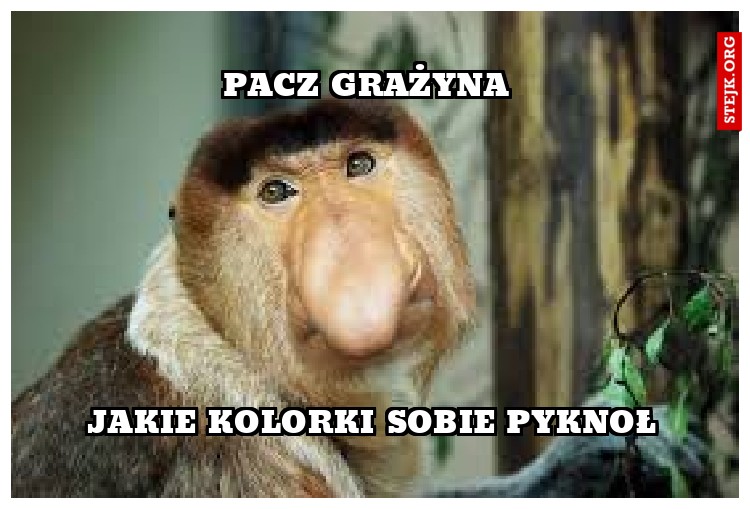 pacz grażyna 